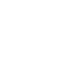 tick